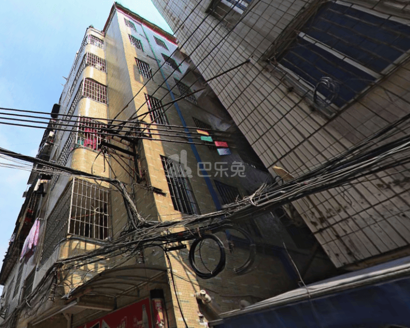 麦地村（华东小区）10682898周边环境图7