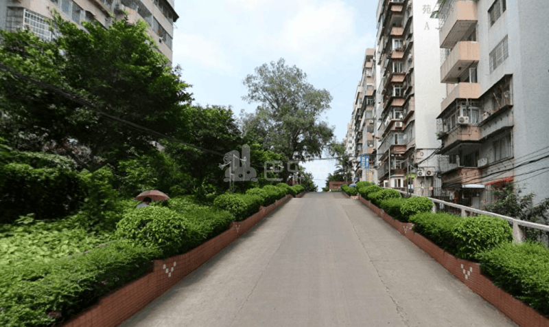 侨源新村8950246周边环境图9