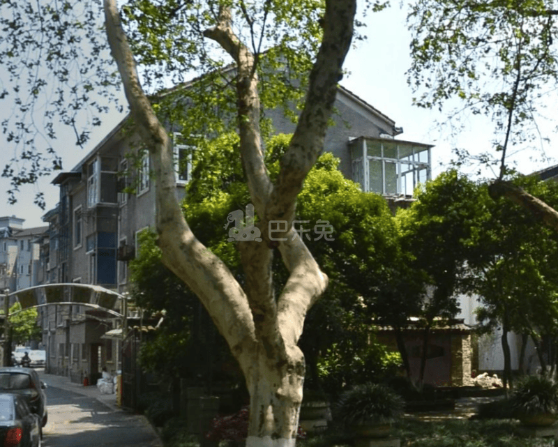 清波新村14504648周边环境图1