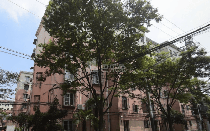 莘松三村169640周边环境图14