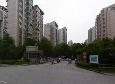 张江汤臣豪园二期 