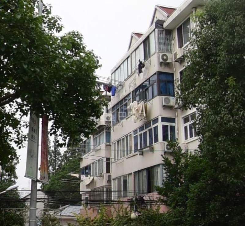 张桥小区（佳林路600号）793003周边环境图7