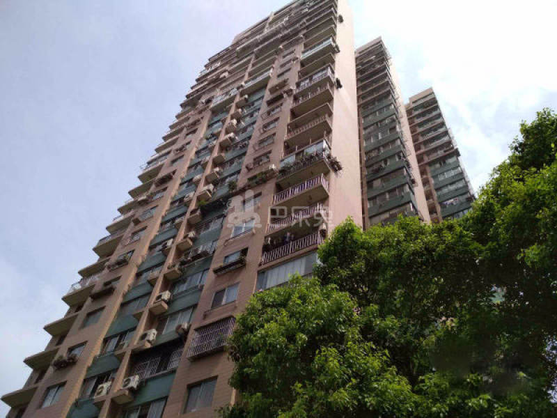 公安住宅小区14814876周边环境图13