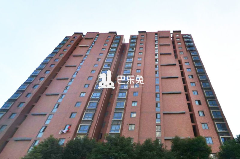 松江出租房 新桥出租房 新弘国际城 服务保障 水电网费,涨就赔 平台
