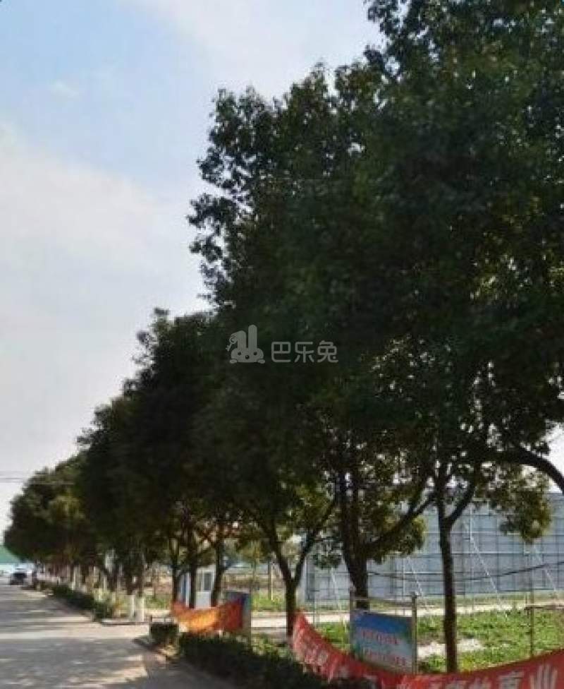 崧泽华城青湖苑（崧泽绿地E区）7189319周边环境图14