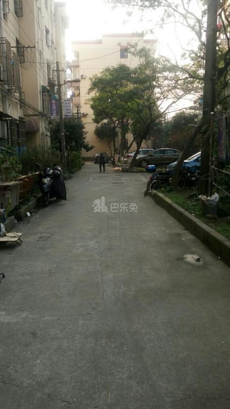 淞南八村17688811周边环境图11