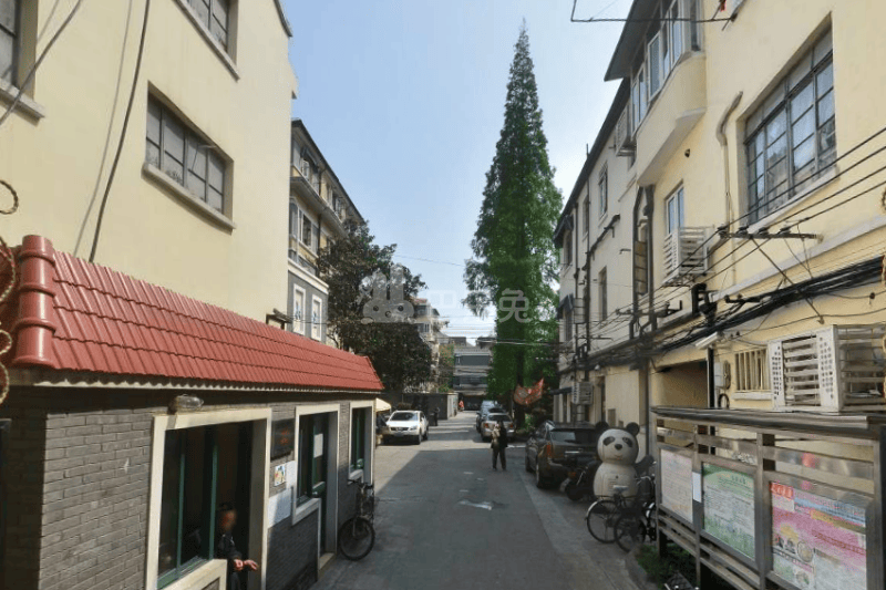 古柏小区15773747周边环境图21