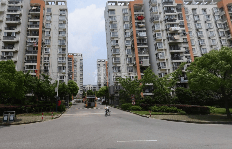 滨浦新苑三村13505648周边环境图10