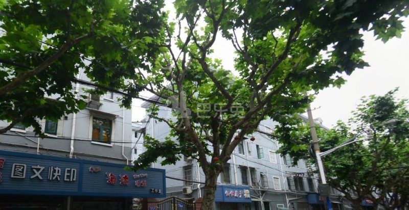 唐家沙小区（洛川东路140弄）15359450周边环境图11