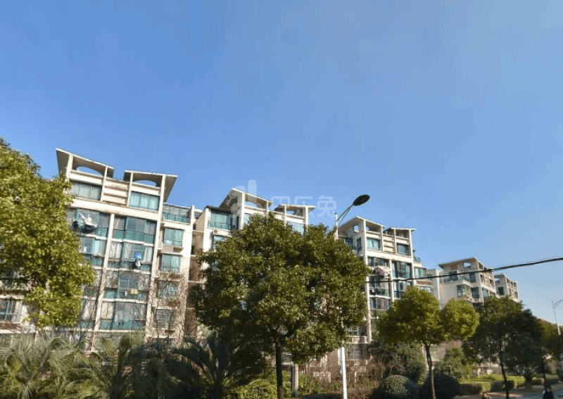 新月丽苑10124561周边环境图13