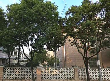 桃园别墅一区北区 