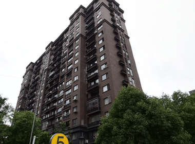 中环一号二期琉樽尚品（华和路255弄） 