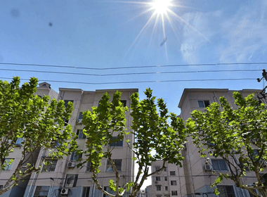 兴银花园 1室0厅1卫