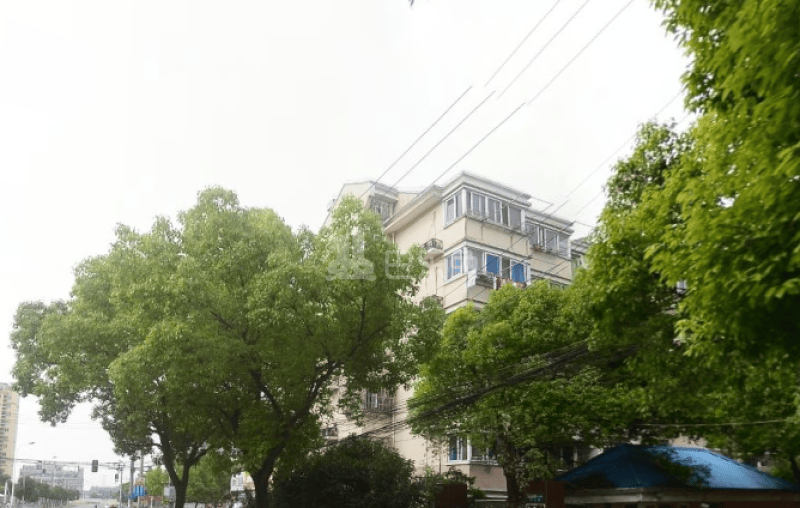 潼港八村（和龙路666弄）15537404周边环境图18