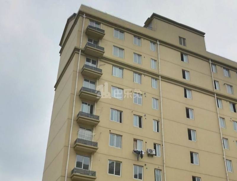 紫竹雅苑（草高支路1118弄）14403703周边环境图12