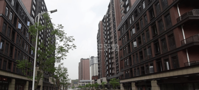 万科翡翠公园15394206周边环境图16