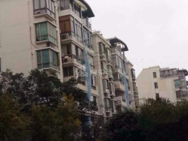 当代高邸（聚丰园路105弄）11962211周边环境图17