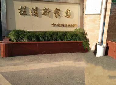 槎浦新家园北区 3室1厅1卫