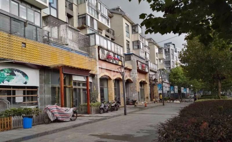 梧桐城邦三期（真华路1988弄）9946195周边环境图5