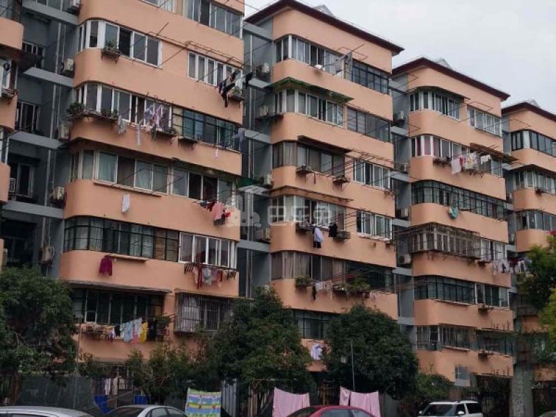 华东花苑（罗城路651弄）14917298周边环境图6