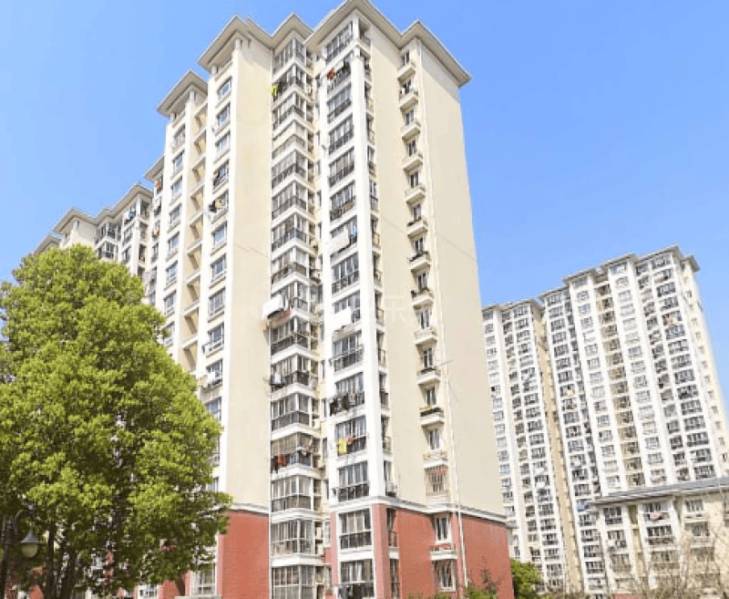 三林世博家园D区7276033周边环境图8