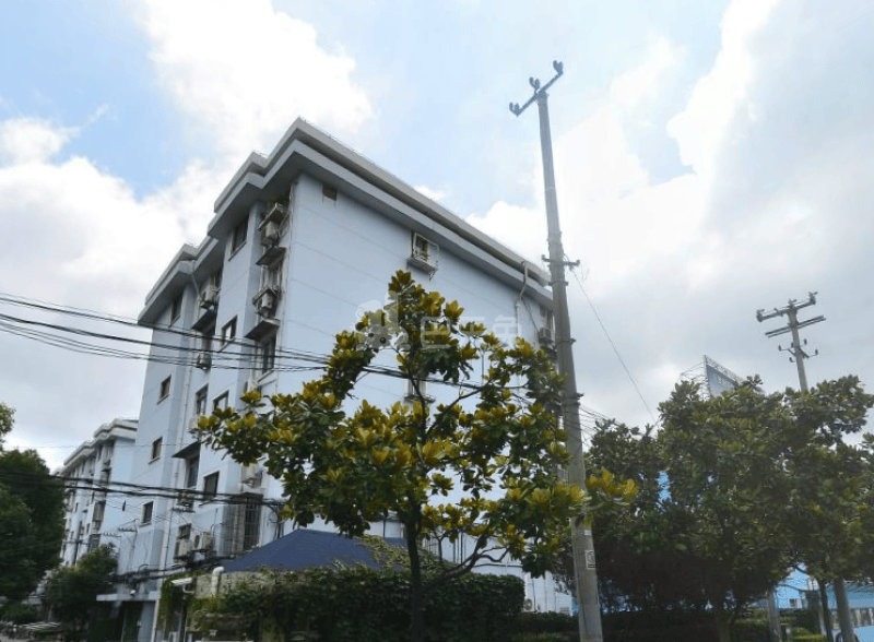 由由四村（严中路173弄）14227747周边环境图8