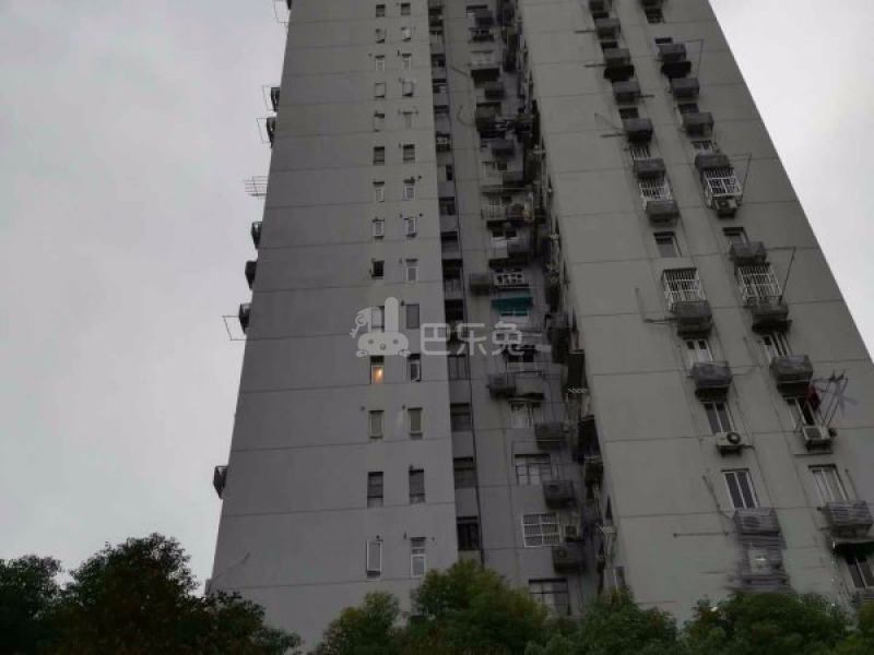 张杨小区15528030周边环境图3