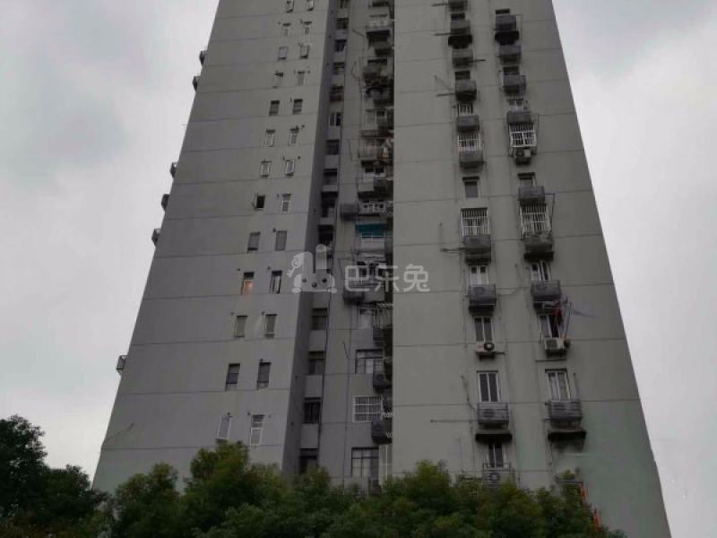 张杨小区15528030周边环境图4