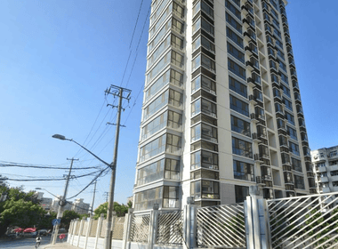 枣阳路530弄 1室1厅1卫