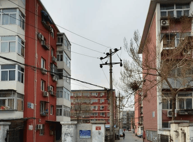 北京海淀_镶黄旗万树园_2室1厅1卫_整租_农大南路,树村西二街-北京