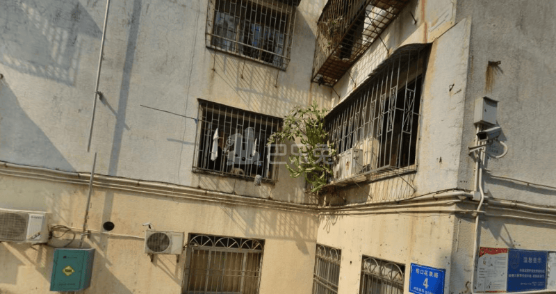 蛇口文卫楼（围仔东小区）9013013周边环境图6