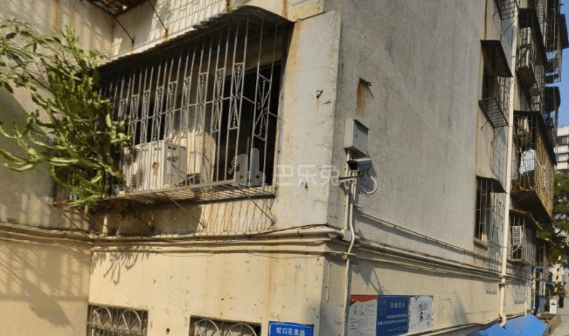 蛇口文卫楼（围仔东小区）9013013周边环境图7