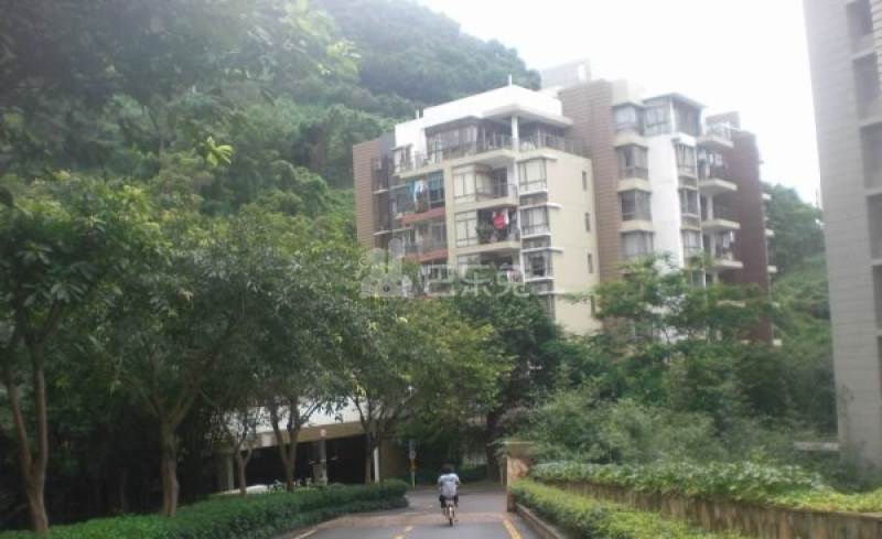 万科东海岸一期别墅11963137周边环境图7