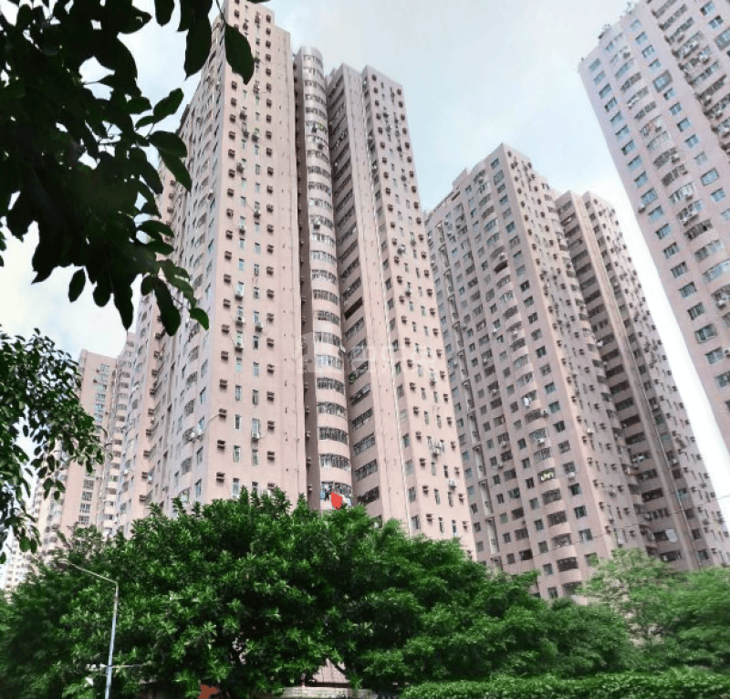 深圳龙岗_龙珠花园b区_1室0厅0卫_合租朝北_龙珠二路与龙珠路交叉口
