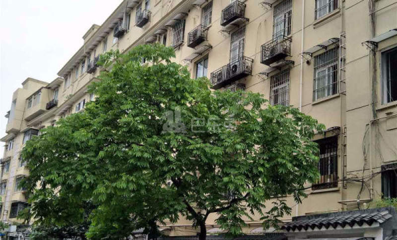 安吉社区10110766周边环境图1