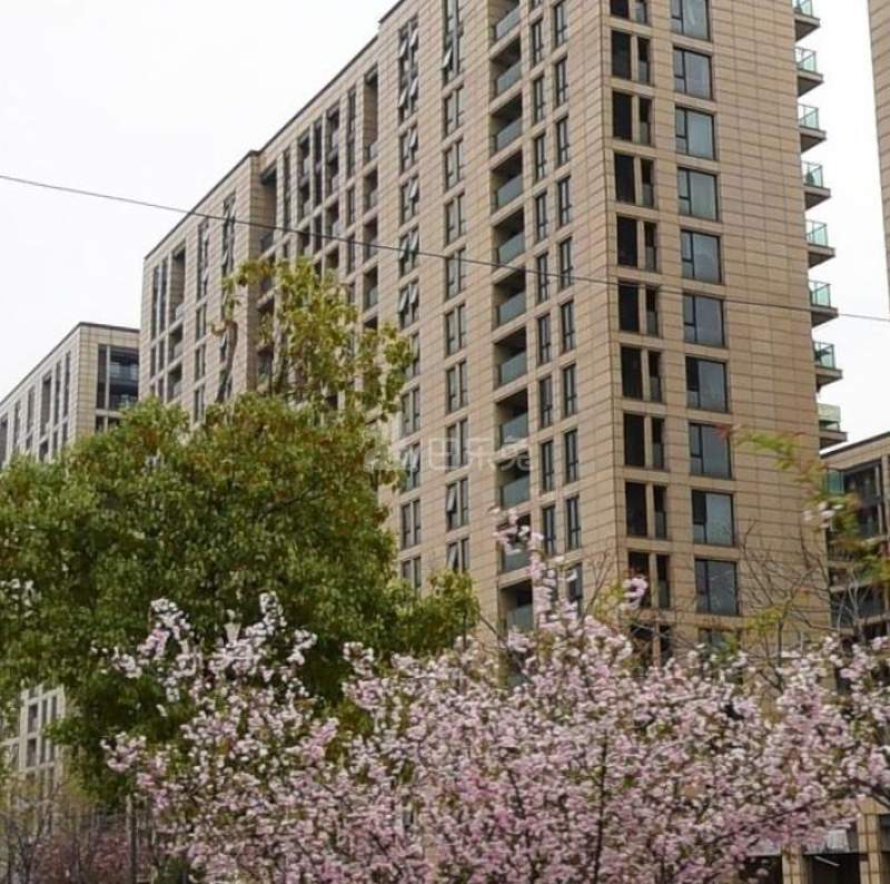 海棠公寓18470054周边环境图5