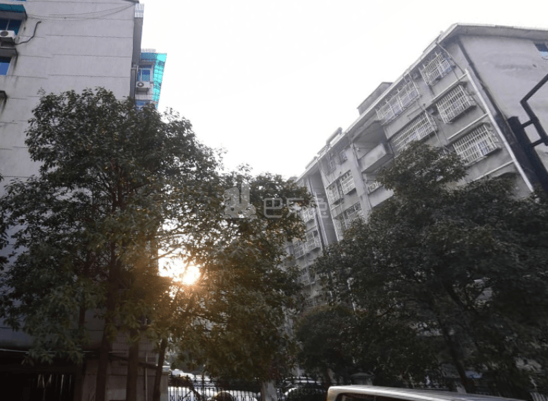 秋月社区（桂花西路）15589420周边环境图24