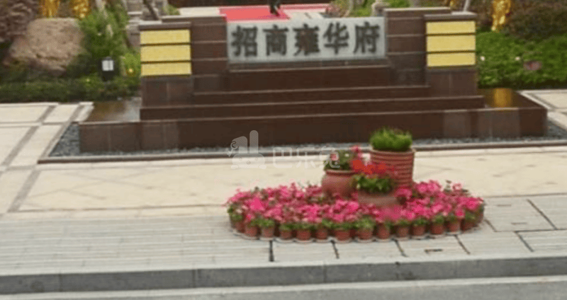 招商雍华府3500655周边环境图9