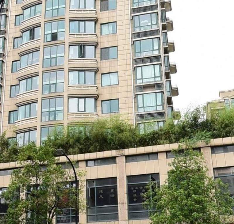 金都华庭15433654周边环境图3