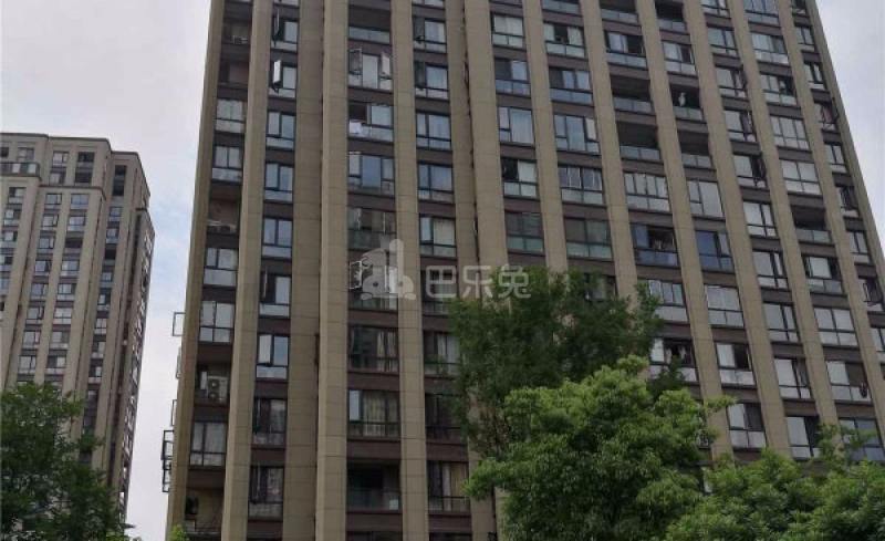 德信晓宸15605132周边环境图19