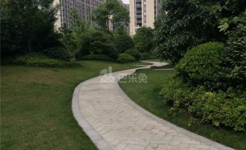 德信晓宸15605132周边环境图26