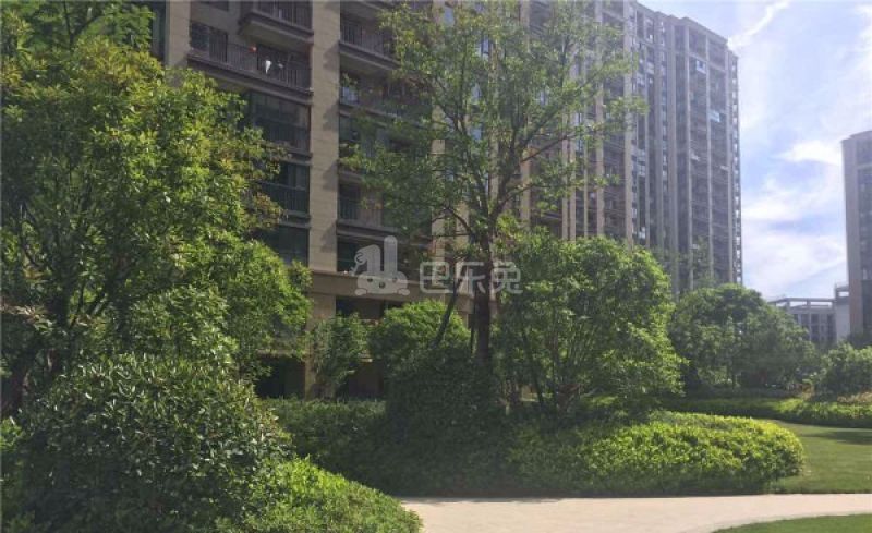 德信早安18372545周边环境图1