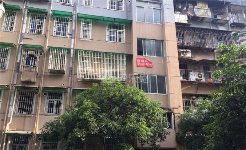 灯塔新村8304087周边环境图7