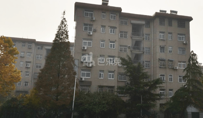 扬子八村13234000周边环境图0