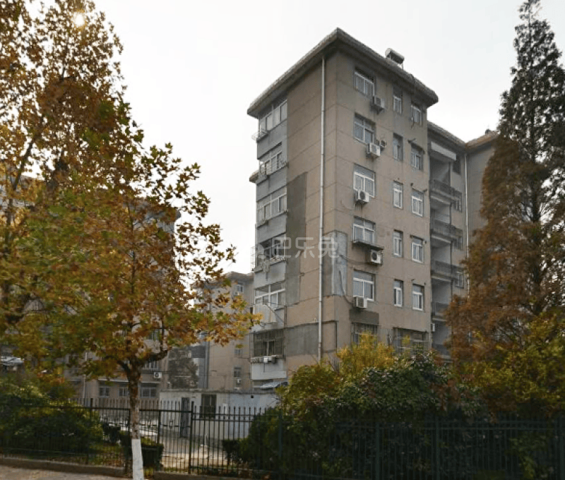 扬子八村13234000周边环境图1