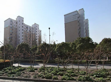 信达蓝庭 1室0厅0卫