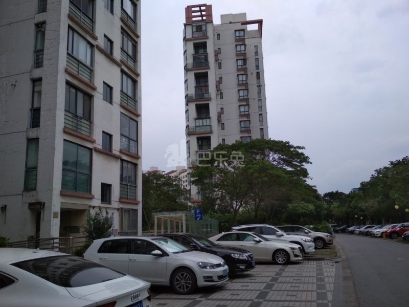 锦秋花园八期15497183周边环境图11