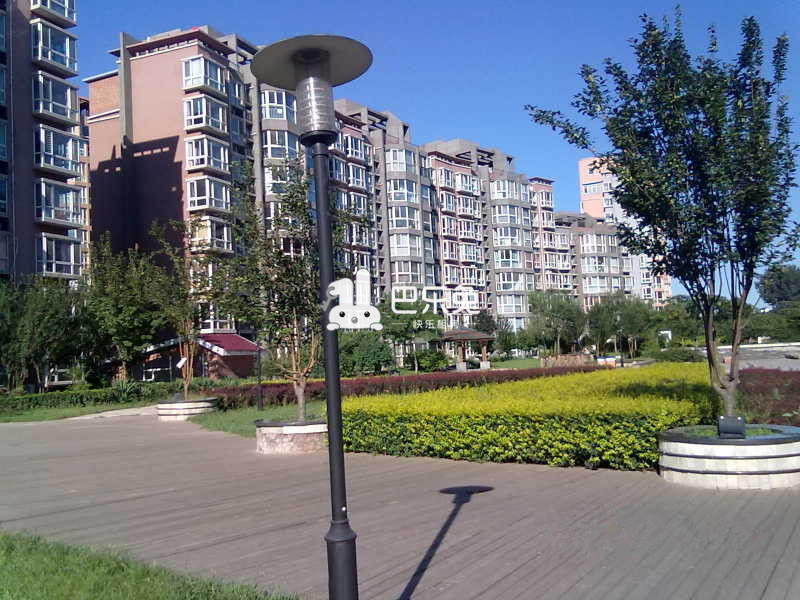 加州小镇b区
