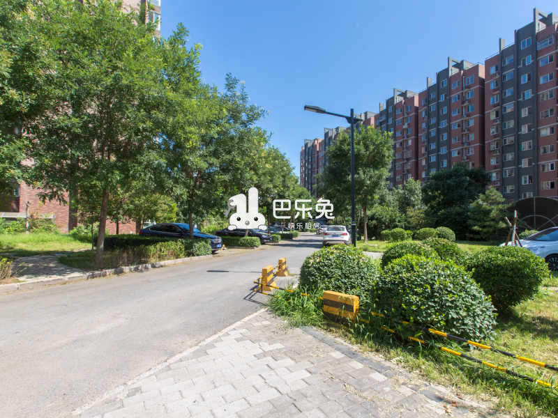加州小镇c区