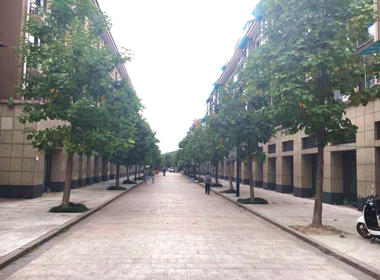 白塔人家 1室0厅0卫